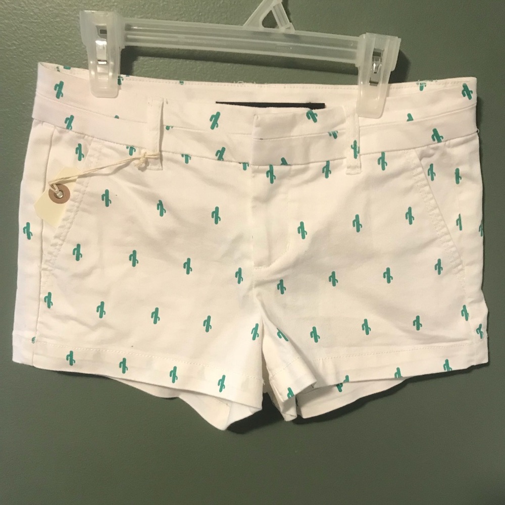 Francesca’s Cactus Shorts